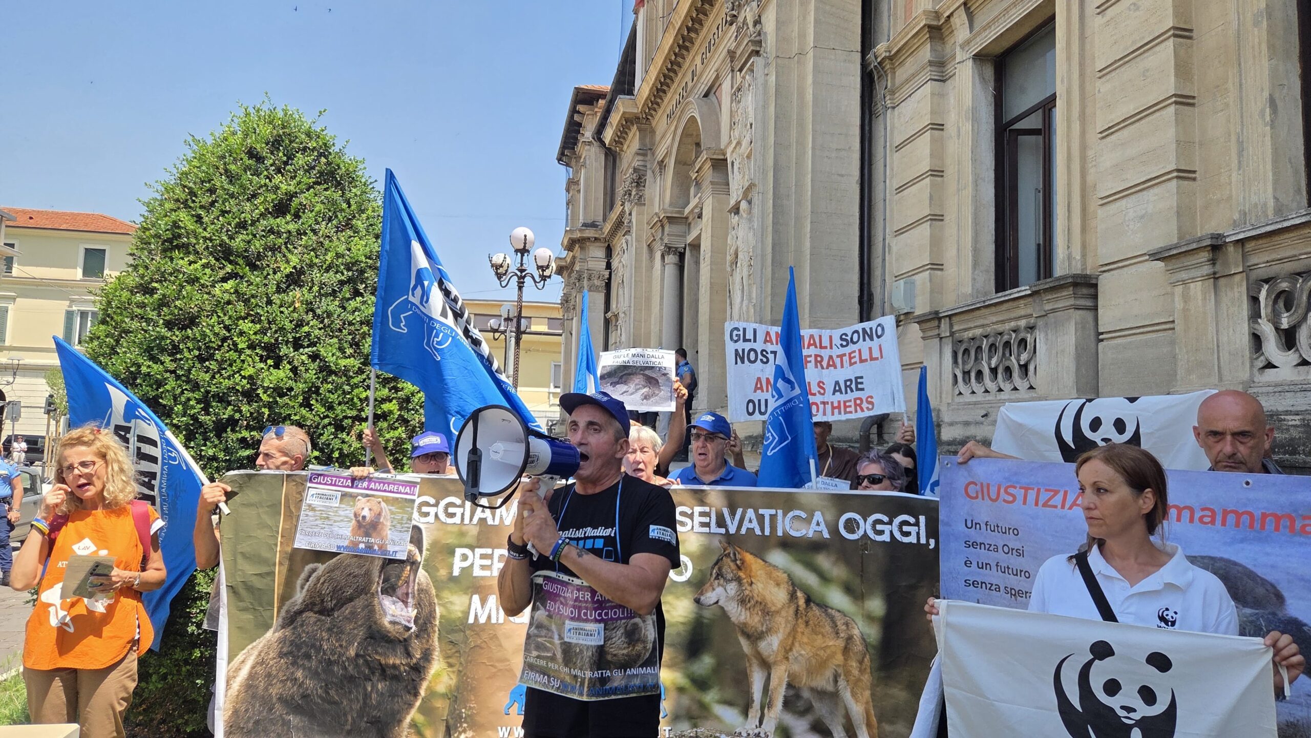 WhatsApp Image 2025-06-24 at 14.10.13