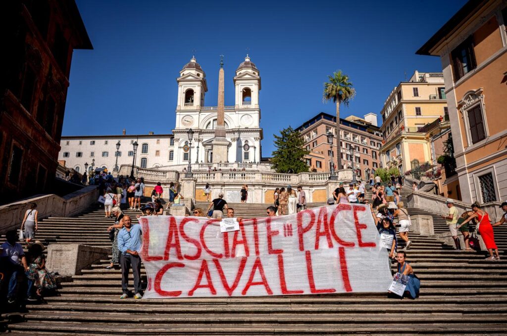 WhatsApp-Image-2024-07-27-at-21.21.18-1024x680