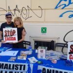 WhatsApp Image 2025-07-17 at 17.27.16