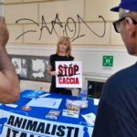 WhatsApp Image 2025-07-17 at 17.28.27