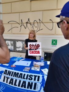 WhatsApp Image 2025-07-17 at 17.28.27