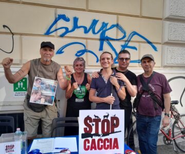 WhatsApp Image 2025-07-18 at 14.58.45 (1)