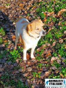 WhatsApp Image 2025-07-24 at 11.39.48 (1)