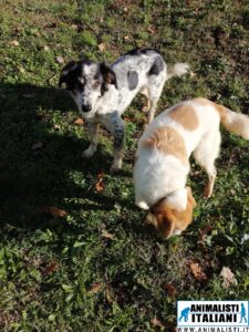 WhatsApp Image 2025-07-24 at 11.39.48