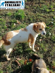 WhatsApp Image 2025-07-24 at 11.39.49 (1)